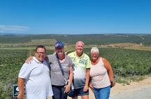 Private Full-Day Addo Elephant National Park 
