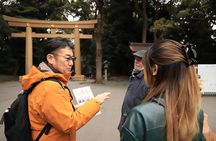 Tokyo Customized Private Tour: See Top Attractions in 1 Day