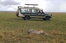 3 Day Private 4x4 Jeep Tour in Masai Mara Safari