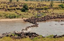 3 Day Private 4x4 Jeep Tour in Masai Mara Safari