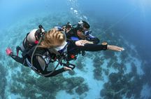 Abu Dhabi PADI Advanced Open Water Course