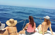 Whale and dolphin watching tour Los Gigantes and Masca in small groups