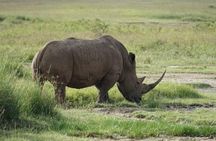 Nairobi National Park day tour