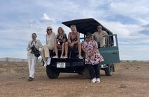 Full-Day Safari Tour from Mikumi National Park of Zanzibar 