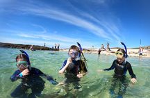Guided Snorkel Activity at Coral Beach Carraroe, Galway