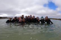 Guided Snorkel Activity at Coral Beach Carraroe, Galway