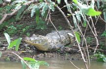 Tambopata National Reserve Tour (3 Days)