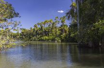 Tambopata National Reserve Tour (3 Days)