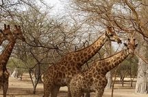 safari at the bandia reserve