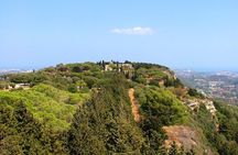 Private Tour: Best of Rhodes in one day (Full Island Tour)