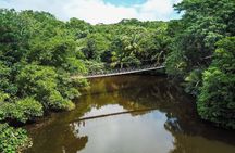 Animal Sightings and Walking Tour at Gumbalimba Park with Addons