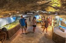 Animal Sightings and Walking Tour at Gumbalimba Park with Addons