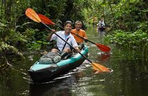 Locally Guided Tambopata Amazon Jungle Tour (4 days)