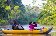 Locally Guided Tambopata Amazon Jungle Tour (4 days)