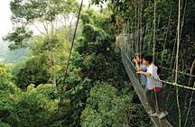 Locally Guided Tambopata Amazon Jungle Tour (4 days)