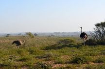 Agadir Jeep Safari & National Park including lunch & hotel pickup