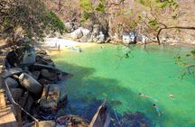 Selva y Playas Exóticas, Senderismo en Puerto Vallarta