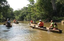 2 Day Private Tour in Tambopata Amazon
