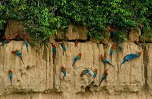 2 Day Private Tour in Tambopata Amazon
