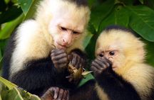 2 Day Private Tour in Tambopata Amazon
