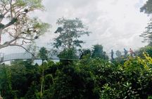 Tambopata Amazon Reserved Zone Exclusive Experience (6 Days)