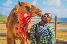 Camel Adventure with Lunch & Tasting