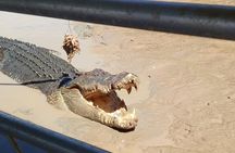 Darwin: Litchfield & Jumping Crocodile Cruise, 4WD, max 6 guests