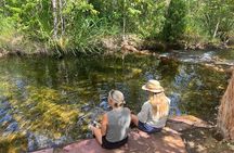 Darwin: Litchfield & Jumping Crocodile Cruise, 4WD, max 6 guests