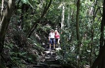 Blue Mountains Private Tour | Beyond the Three Sisters