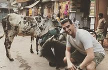 Private Agra Culture Walk Old City Charm