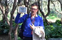 Full Day Private Tour in Athens