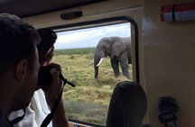  2-Day Amboseli Safari Witness Wildlife & Mt Kilimanjaro View 