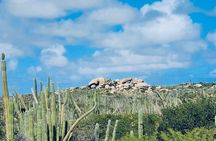 Half-Day Aruba UTV Adventure Tour