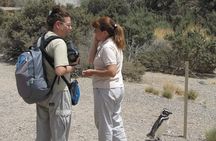 Wonderful Punta Tombo Penguin Rookery Tour for Cruise Passengers