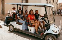 Private Tour at Rovinj on a Golf Cart 