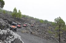 Buggy Tour The Volcanoes 5 Hours in La Palma
