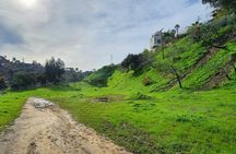 LA River Eco Tour and Secret Stair Hike