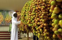 Abu Dhabi Full-Day Sightseeing Tour from Dubai with a guide