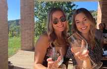 Prosecco experience. Wine tasting. Full day from Treviso