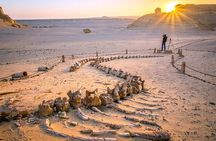 Private Tour in Fayoum for 2 Days and 1 Night 