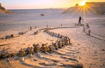 Bahariya Oasis and Fayoum Oasis Tour for 3 Days with 2 Nights