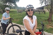  Cycling in a Forest close to Johannesburg and Pretoria 