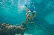 Private Half Day Luxury Snorkeling Charter