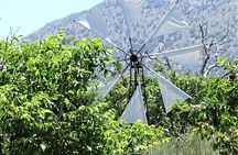 Private Tour-Knossos Palace Zeus Cave Olive Oil Mill & Wine 