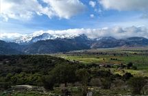 Private Tour-Knossos Palace Zeus Cave Olive Oil Mill & Wine 