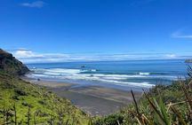 Auckland City and West Coast Black Sand Beach Full Day Tour