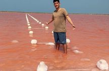 Half day totumo mud volcano and pink sea with lunch 