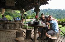 No.1 Chiang Mai: Advanced XC Downhill Biking, Doi Suthep N. Park