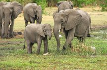 6 Days 5 Night Safari