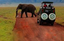 6 Days 5 Night Safari